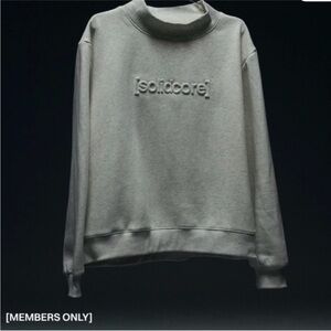 Solid Light Gray Embroidered Turtleneck Sweatshirt - Women